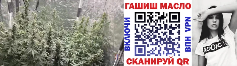 ТГК концентрат  Поворино 